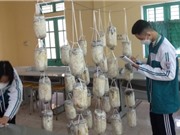 Vẻ đẹp của những phép đo sáng tạo 